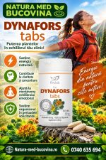 Dynaforstabs (Performanţă mentală şi fizică într-o singură plantă)