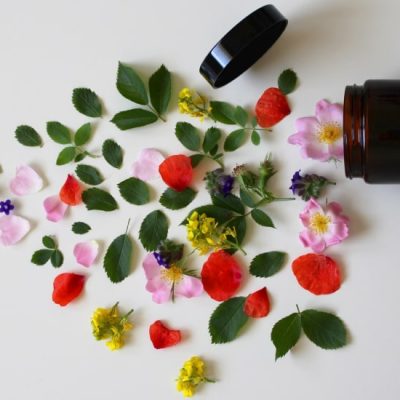 natura med bucovina echilibru psihic natura med bucovina echilibru psihic