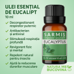 Eucalyptus - Essential Oil - 10 ml