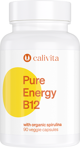 CV0340_xl Pure Energy B12