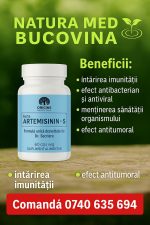 Forte ARTEMISININ – S