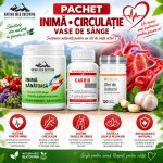 PACHET INIMĂ • CIRCULAȚIE • VASE DE SÂNGE