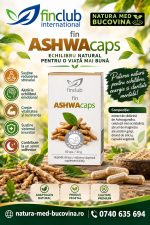 fin Ashwacaps
